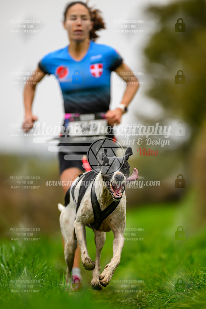 MompixPhotography_20TSB_E8_Run-160 | PayLife