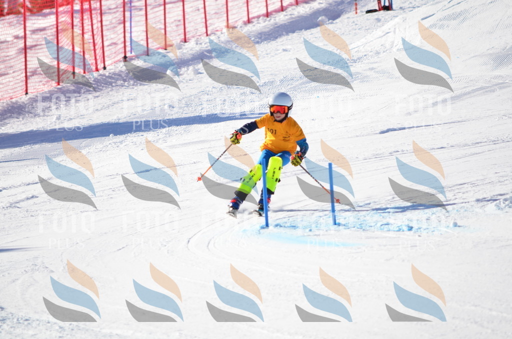 C6183 | holidayphoto