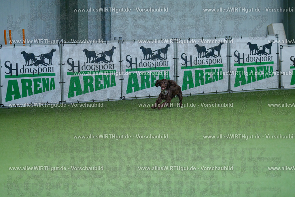@allesWIRTHgut_Tierfotografie - www.allesWIRTHgut.de - 2604260804-7R506573 | Professionelle Tierfotografie in Mönchengladbach von Daniel Wirth (allesWIRTHgut). Liebevolle & natürliche Bilder von Hunden & Katzen für unvergessliche Erinnerungen.