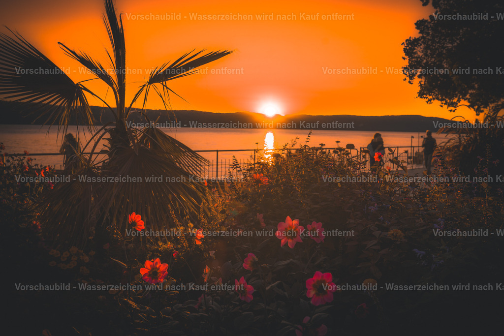 DSC00409 | marcuslinek