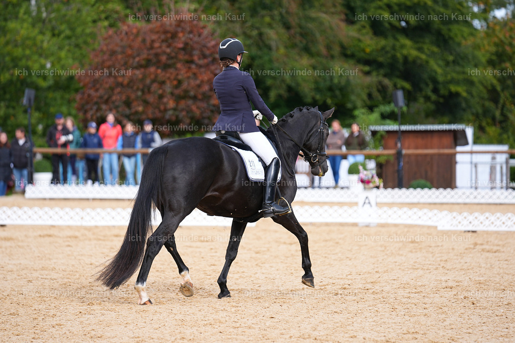 02-211-DRESSUR L_  -Marixx-4844 | working equitationturnier fotograf videograf stoibphotography marixx film working equitation deutschland reitsport turnierfotografie eventfotografie equestrian events