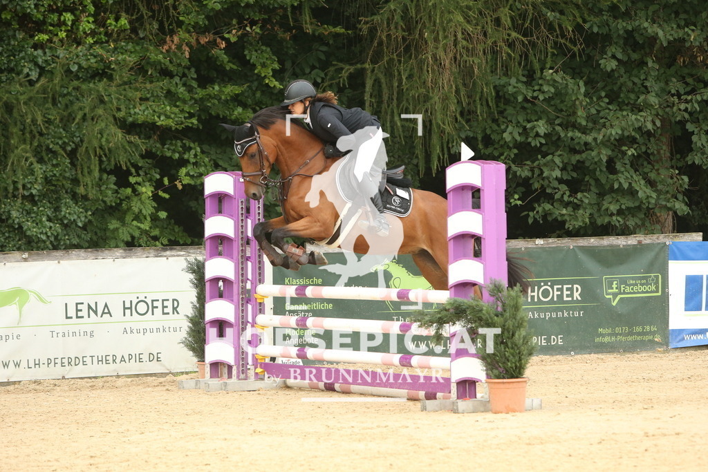 DL2Q5953 | Willkommen bei Brunnmayr - Design & Fotografie – Ihrem Spezialisten für Reitturniere und Pferdeveranstaltungen in Oberösterreich, Salzburg und Bayern! Seit über 17 Jahren sind wir leidenschaftlich dabei.