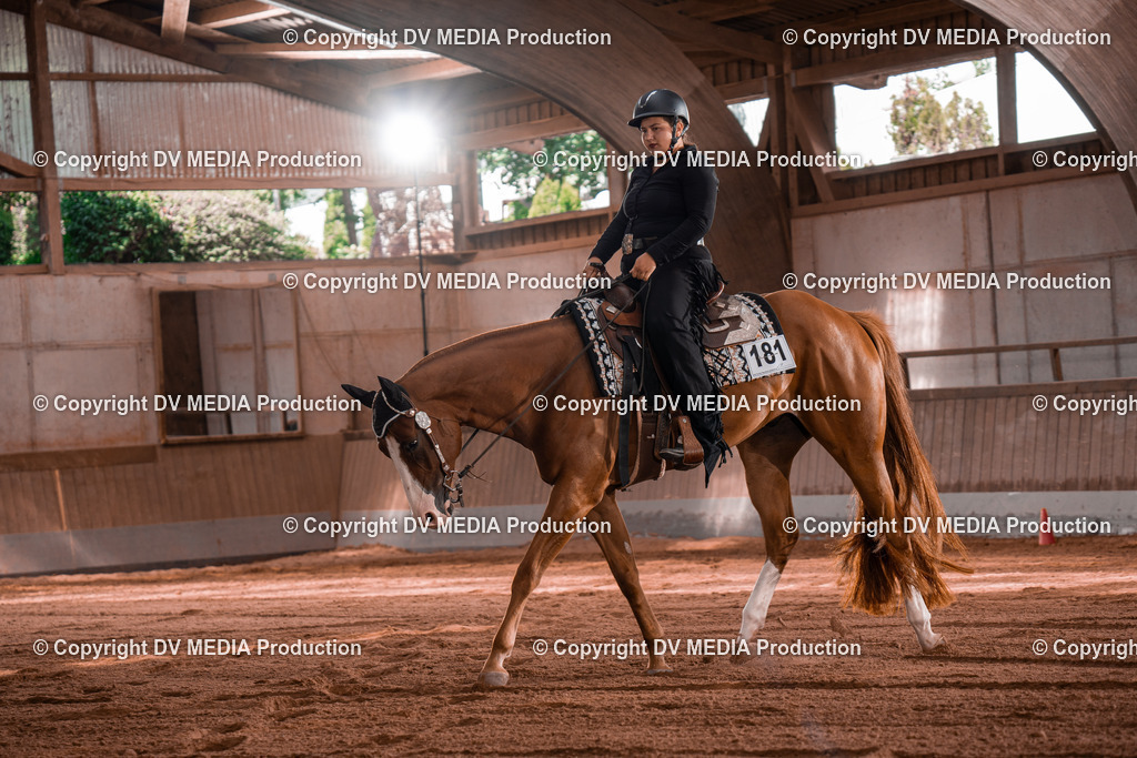 NE100336 | dv-media-shop - Realisiert mit Pictrs.com