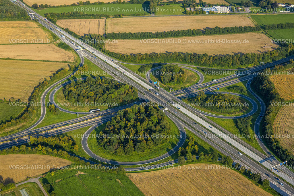 Werl230807065 | Luftbild, Autobahnkreuz Werl, Autobahn A44 und Autobahn A445, Werl, Werl-Unnaer Börde, Nordrhein-Westfalen, Deutschland