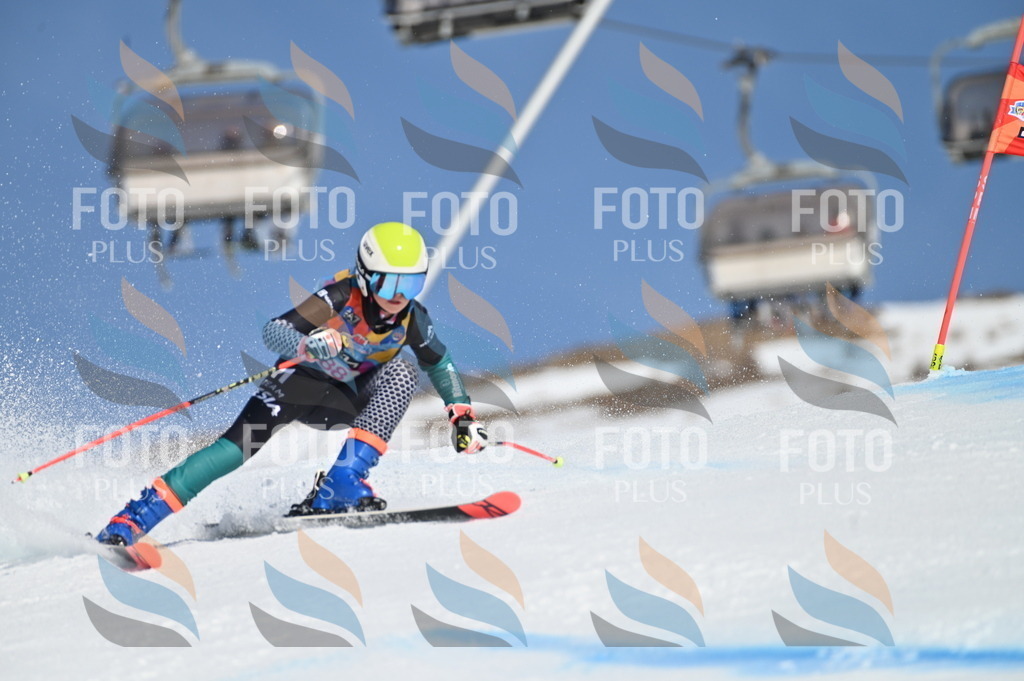 BGV_9212 | holidayphoto