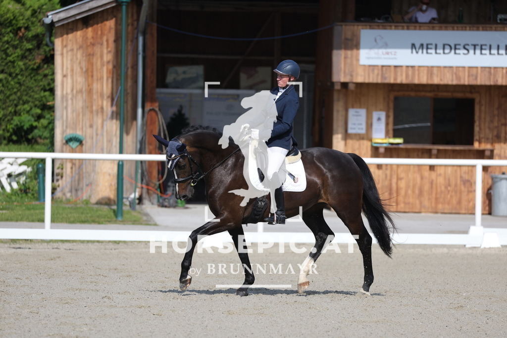 0P6A4536 | Willkommen bei Brunnmayr - Design & Fotografie – Ihrem Spezialisten für Reitturniere und Pferdeveranstaltungen in Oberösterreich, Salzburg und Bayern! Seit über 17 Jahren sind wir leidenschaftlich dabei.