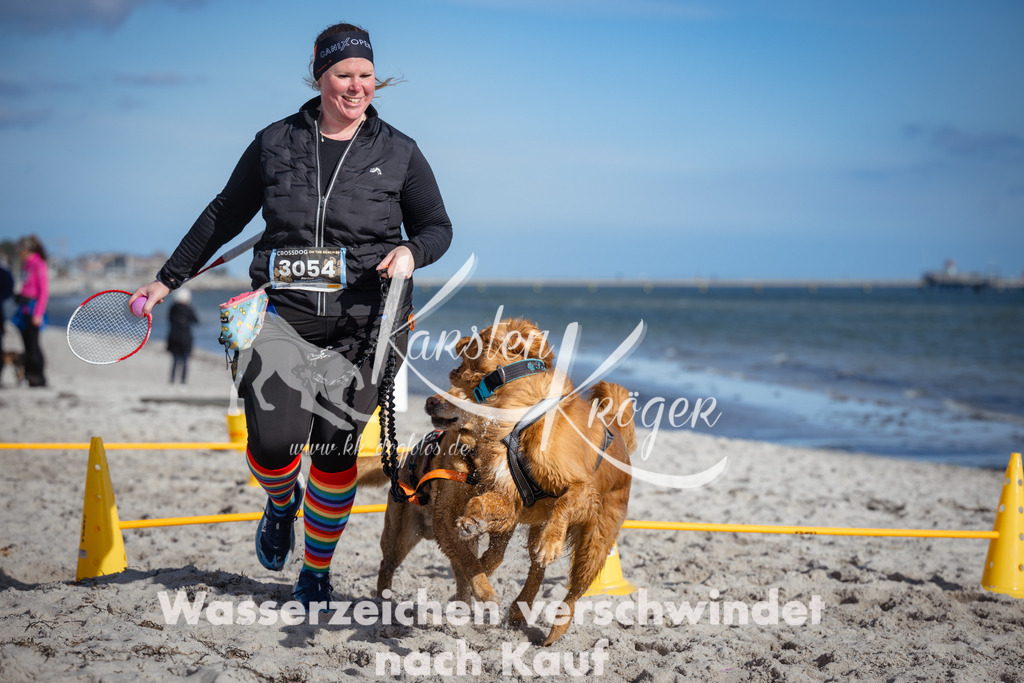 1343_ZZ92968 | kk-dogfotos