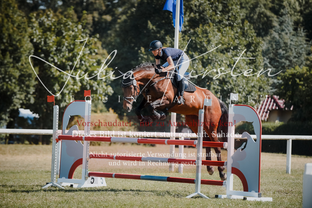 DSC_7229 | Pferde- und Turnierfotografie in Westsachsen. Pferdeportraits, Auftragszeichnungen und intuitive Kunst.
