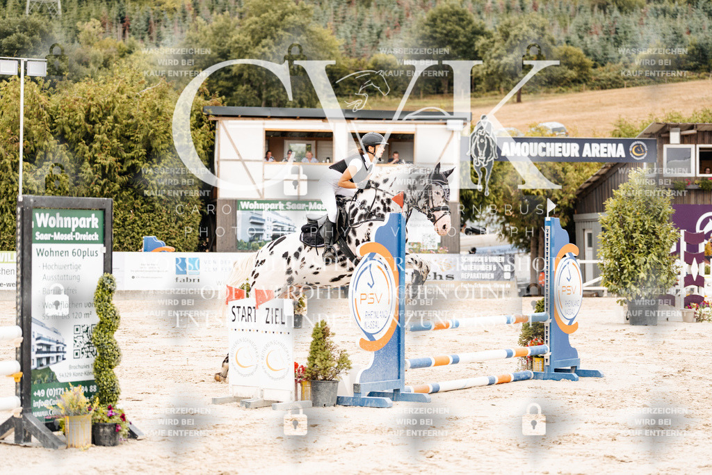 CK908257 | Turnierfotografie Pferdefotografie Trier Rheinland-Pfalz Pferdesport Reitsport Tierfotografie Sportfotografie Pferdevideo Pferdevideografie Equestrianvideography equestrianphotography  - Realisiert mit Pictrs.com