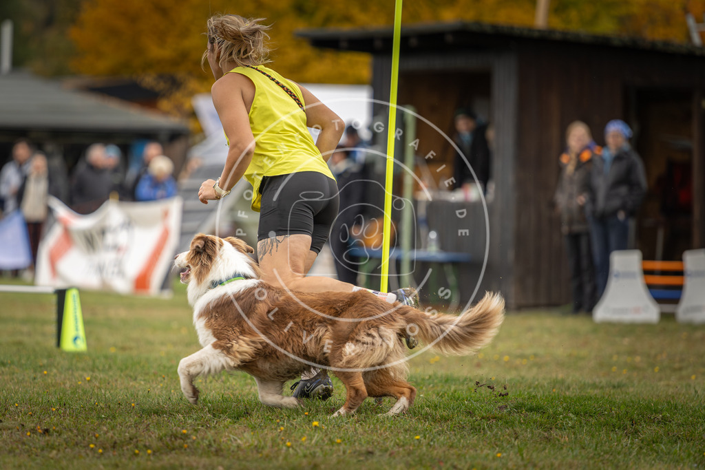 Pfotenfotografie_DV3A3057 | Hundefotografie, Tierfotograf, Pfotenfotografie, Fotoshooting Hund, Hunde Portrait, Hundesport, Hundeportraits, Heideshooting, Hunde, Sportfotograf, Hundefotograf, Turnierhundsport, THS,  - Realisiert mit Pictrs.com