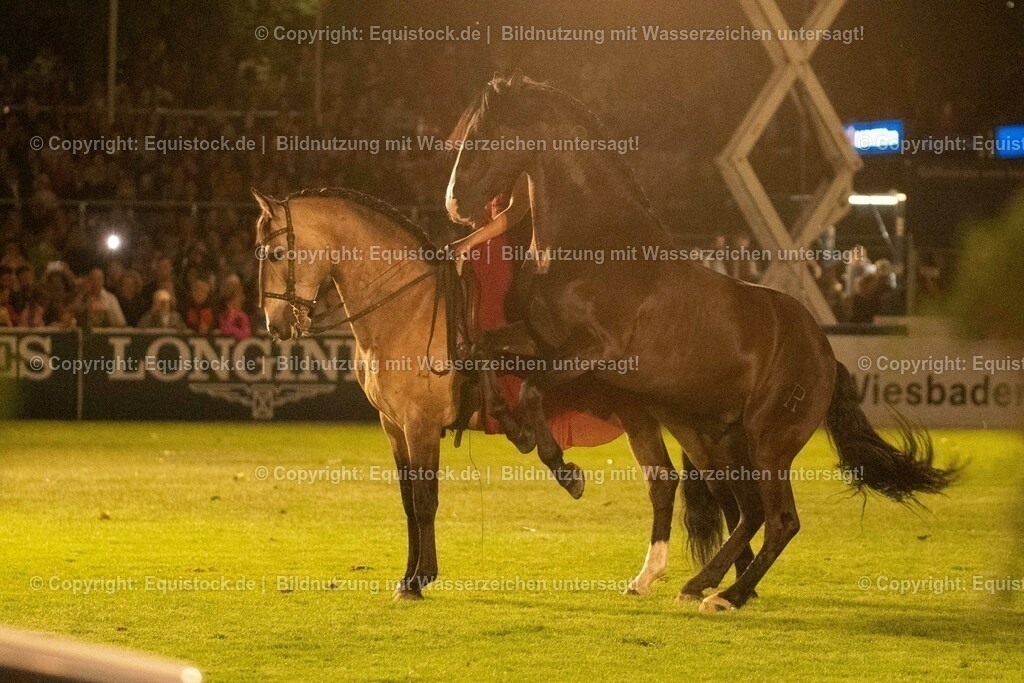 20230526_Pferdenacht_1446 | equistock
