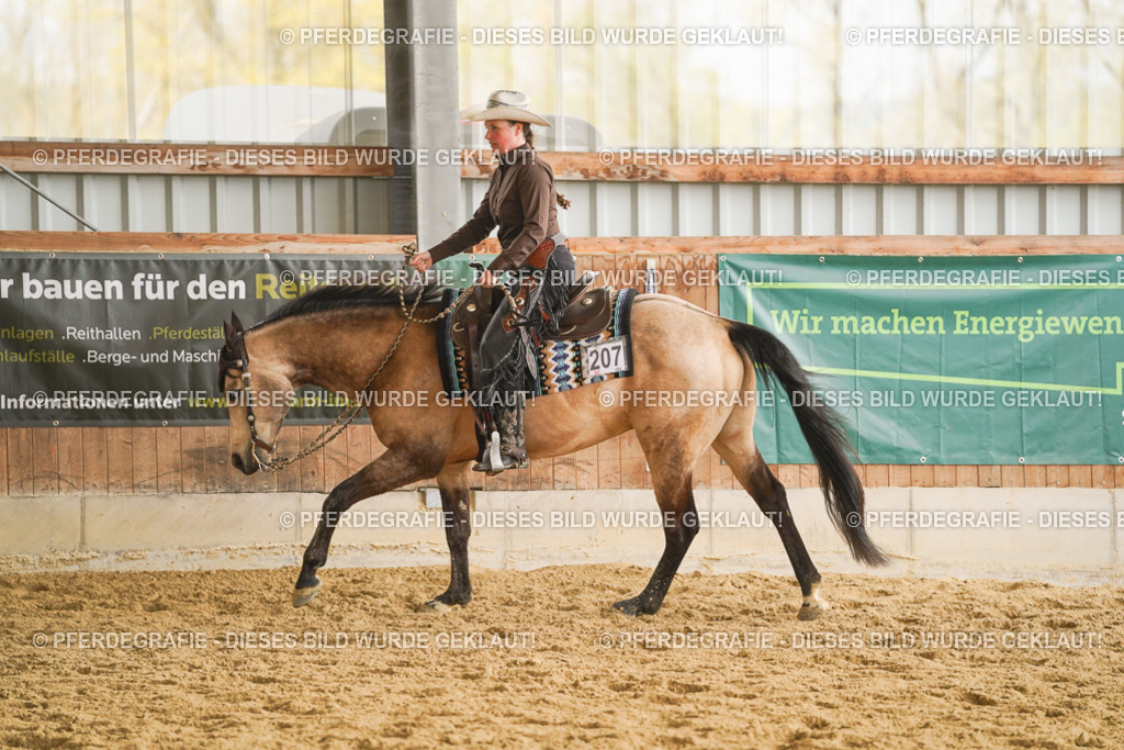 DSC08206 | Pferdegrafie