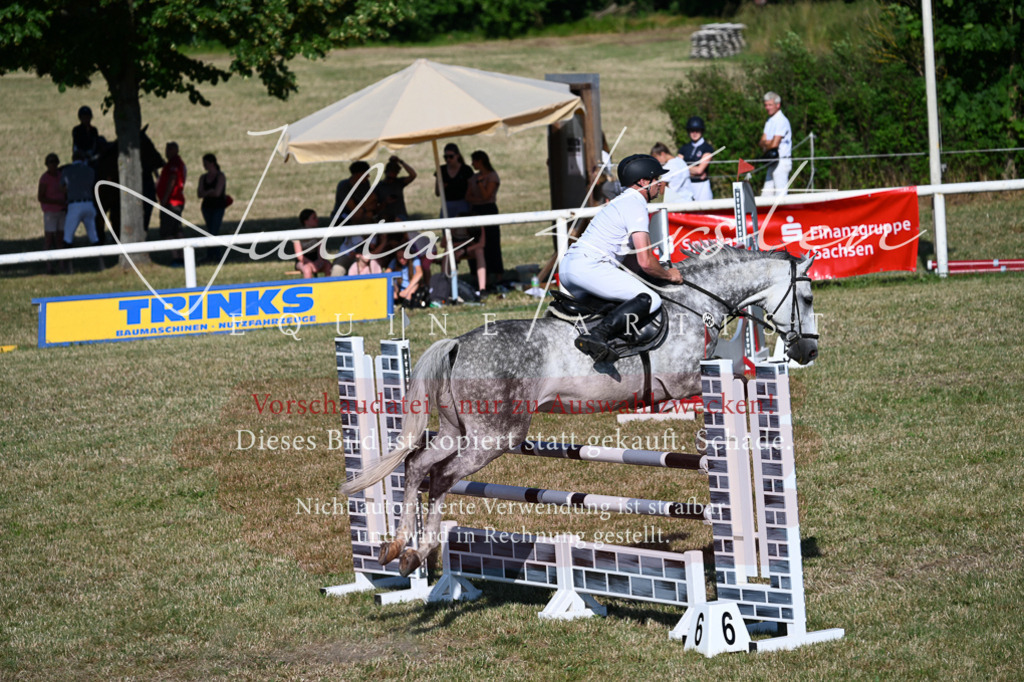 DSC_2575 | Pferde- und Turnierfotografie in Westsachsen. Pferdeportraits, Auftragszeichnungen und intuitive Kunst.