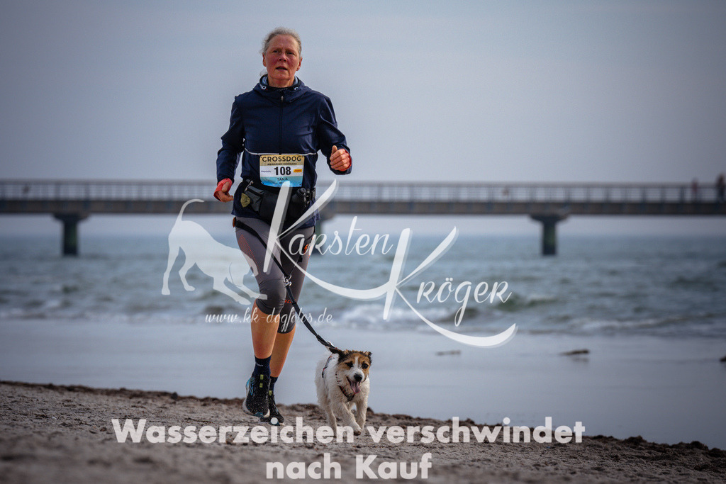 1050_ZZ96349 | kk-dogfotos