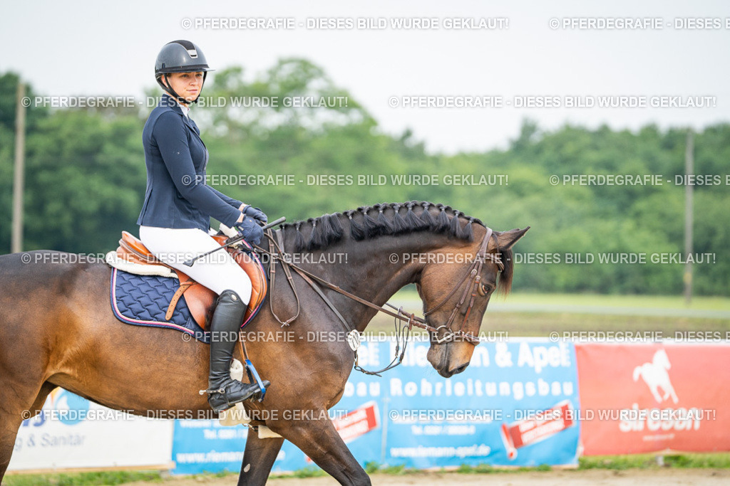 DSC09199 | Pferdegrafie