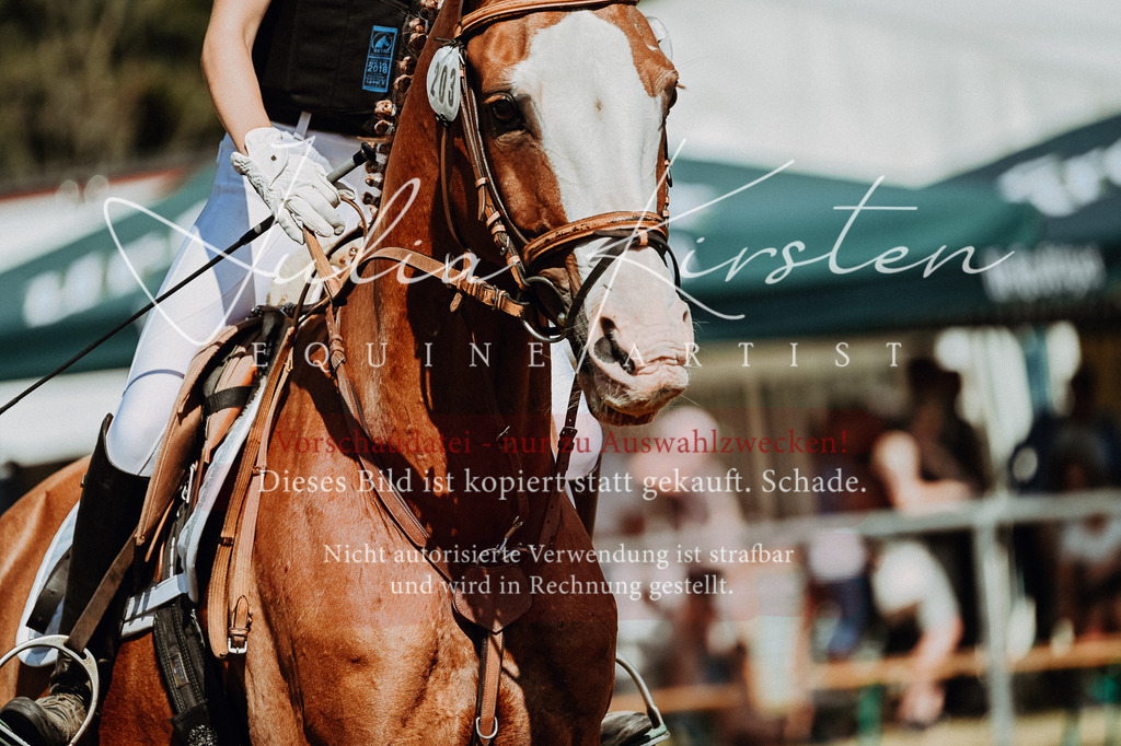 DSC_9519 | Pferde- und Turnierfotografie in Westsachsen. Pferdeportraits, Auftragszeichnungen und intuitive Kunst.