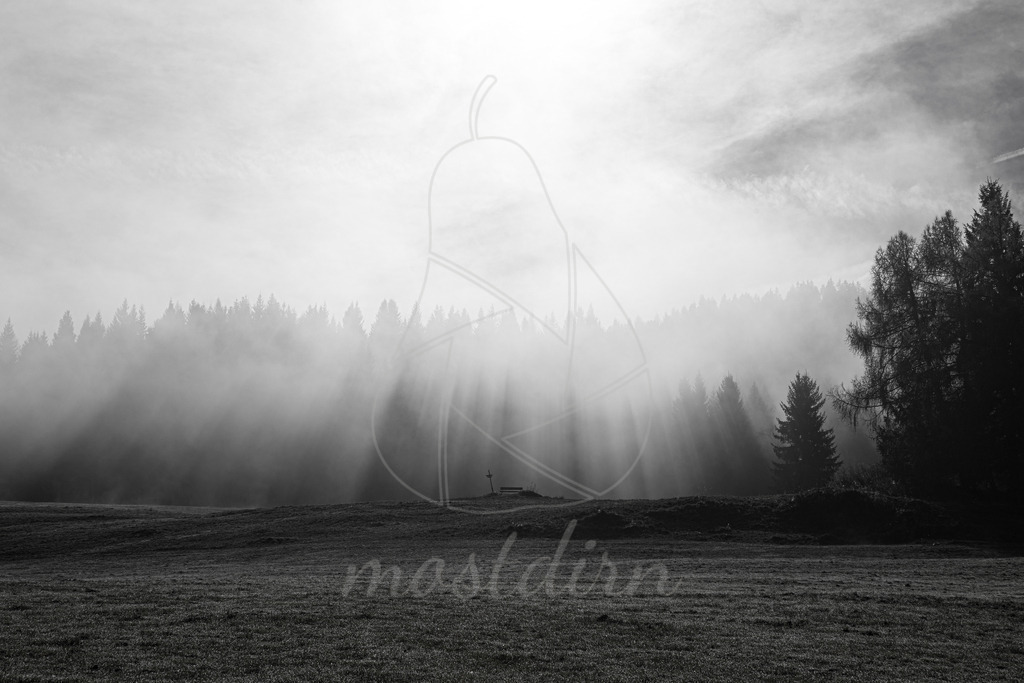 Herbstnebel Pichlern | Ihre Fotografin im Lungau, ihre Fotografin im Mostviertel, Wandbilder Onlineshop, Imagefotos für Ihr Unternehmen,  - Realisiert mit Pictrs.com