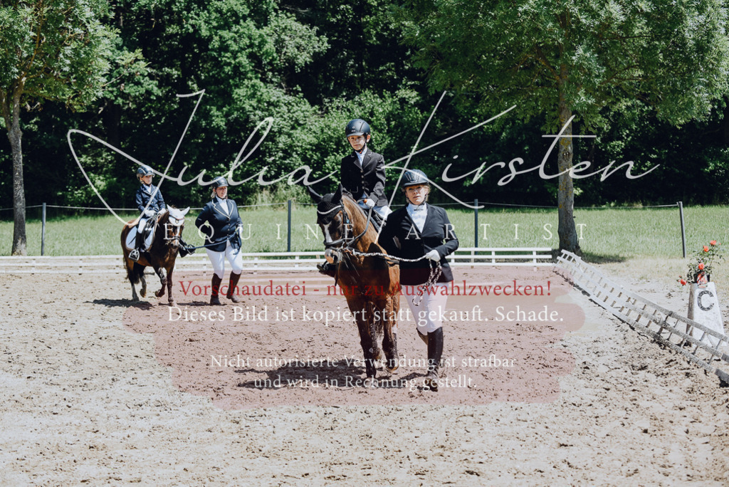 DSC_2154 | Pferde- und Turnierfotografie in Westsachsen. Pferdeportraits, Auftragszeichnungen und intuitive Kunst.