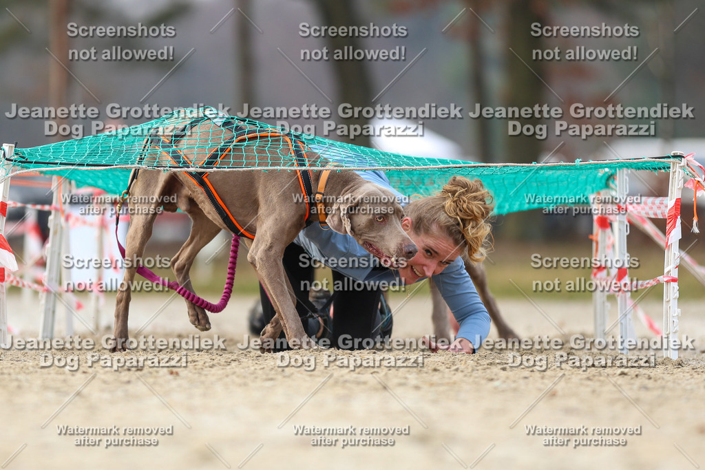 Dog Paparazzi - Strongdog North Mrz26-4233 | Dog Paparazzi Jeanette Grottendiek Fotografie & Videografie - Realisiert mit Pictrs.com