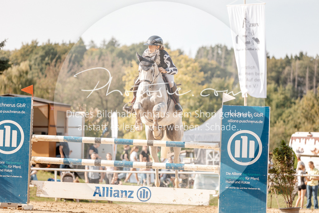 3I6A5108 | Stimmungsvolle Portraits und Reitsportfotografie im Ruhrgebiet und im Münsterland.

Pferdefotografie, Hundefotografie, Tierfotografie, Reportagen, Portraits von Tier und Mensch, Turnierfotografie in Bochum, Recklinghausen, Marl, Haltern am See, Dülmen.. - Realisiert mit Pictrs.com