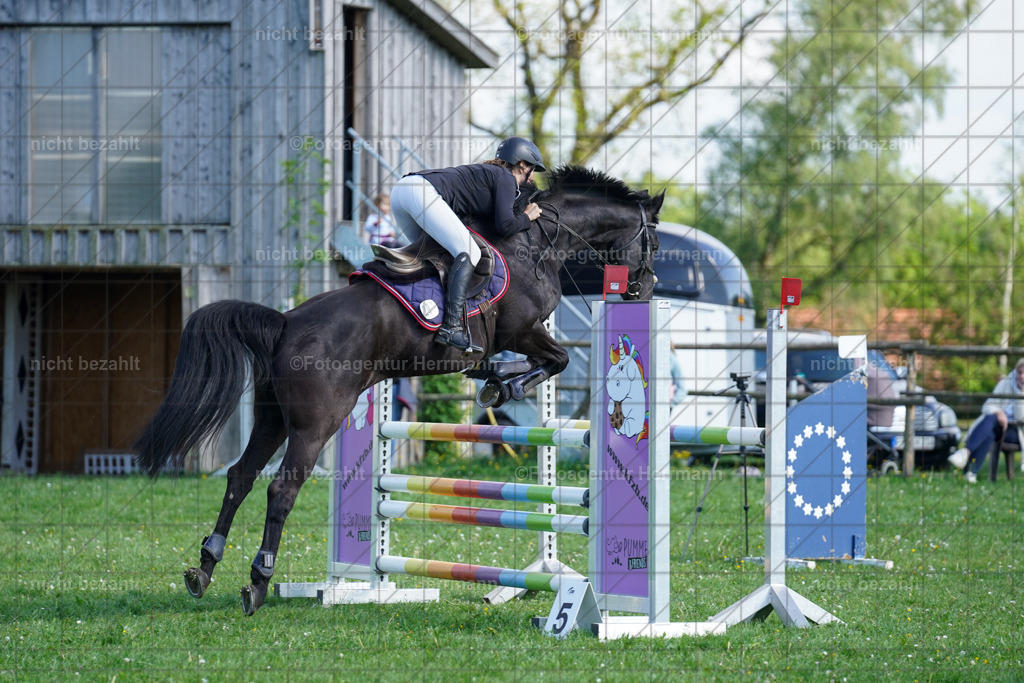 20240509-FAH02972 | Fotos von dem Turnier in Bayern, Landsberg am Lech, Reitsportbilder, Turnierfotografen Bayern, Fotoagentur Herrmann, Springreiten, Reitsportfotograf, Pferdefotograf, Turnierbilder