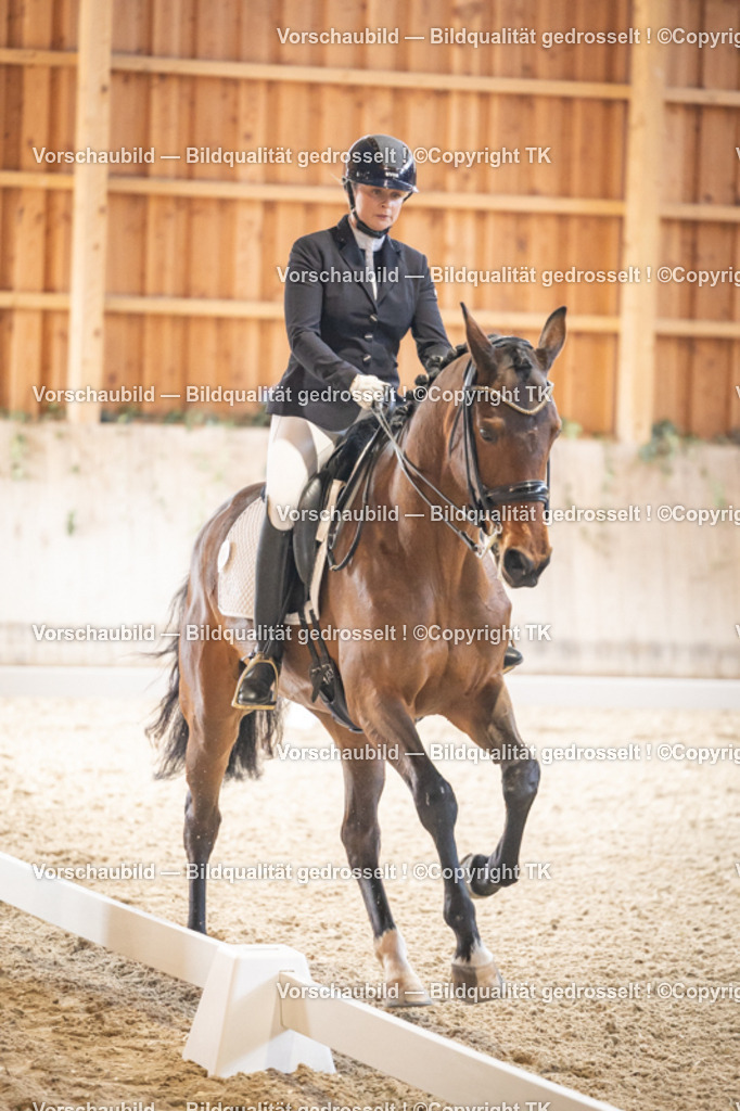 _D5A8818 | Emotionale Pferde- & People-Fotografie rund um Heidelberg, Leimen & Umgebung. Natürliche Fotos von Pferd, Mensch & Familie. Jetzt Termin sichern!