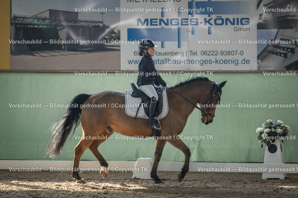 _D5A8541 | Emotionale Pferde- & People-Fotografie rund um Heidelberg, Leimen & Umgebung. Natürliche Fotos von Pferd, Mensch & Familie. Jetzt Termin sichern!