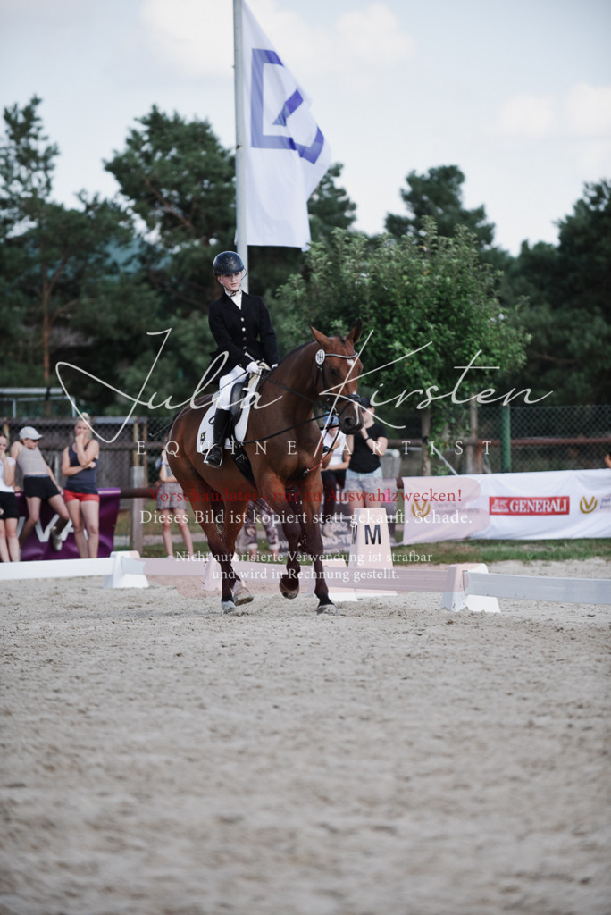 DSC_9945 | Pferde- und Turnierfotografie in Westsachsen. Pferdeportraits, Auftragszeichnungen und intuitive Kunst.