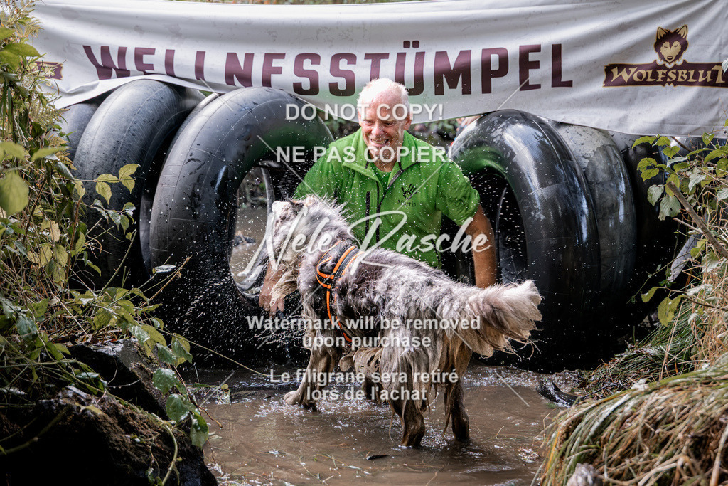 nelerasche_Hunsrück2026_Sa1400-1500_88 | nelerasche