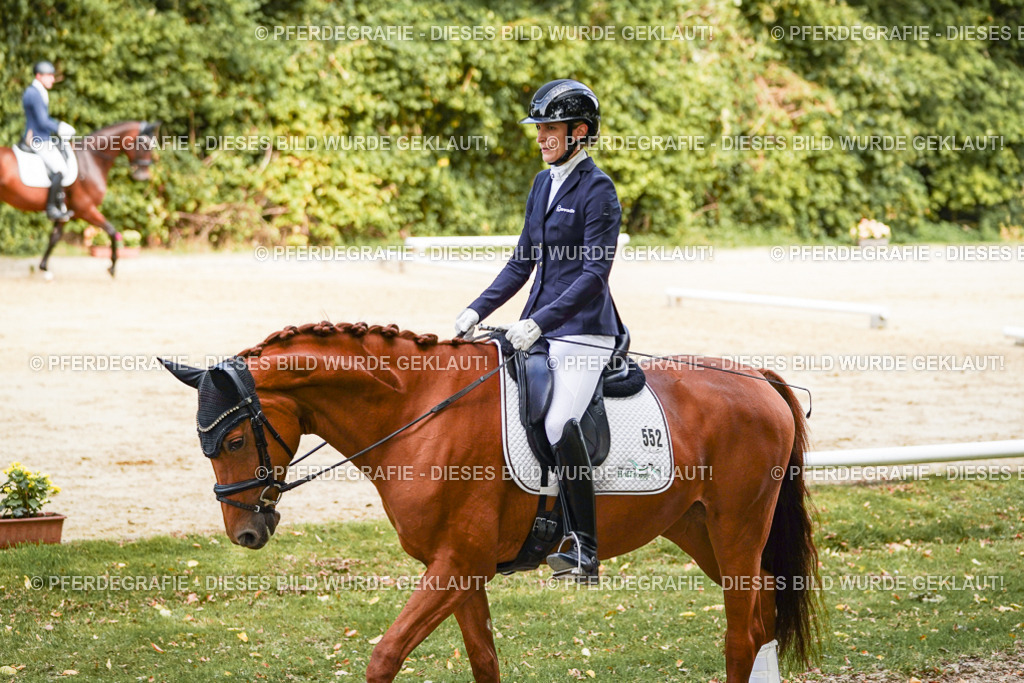 DSC09039 | Pferdegrafie