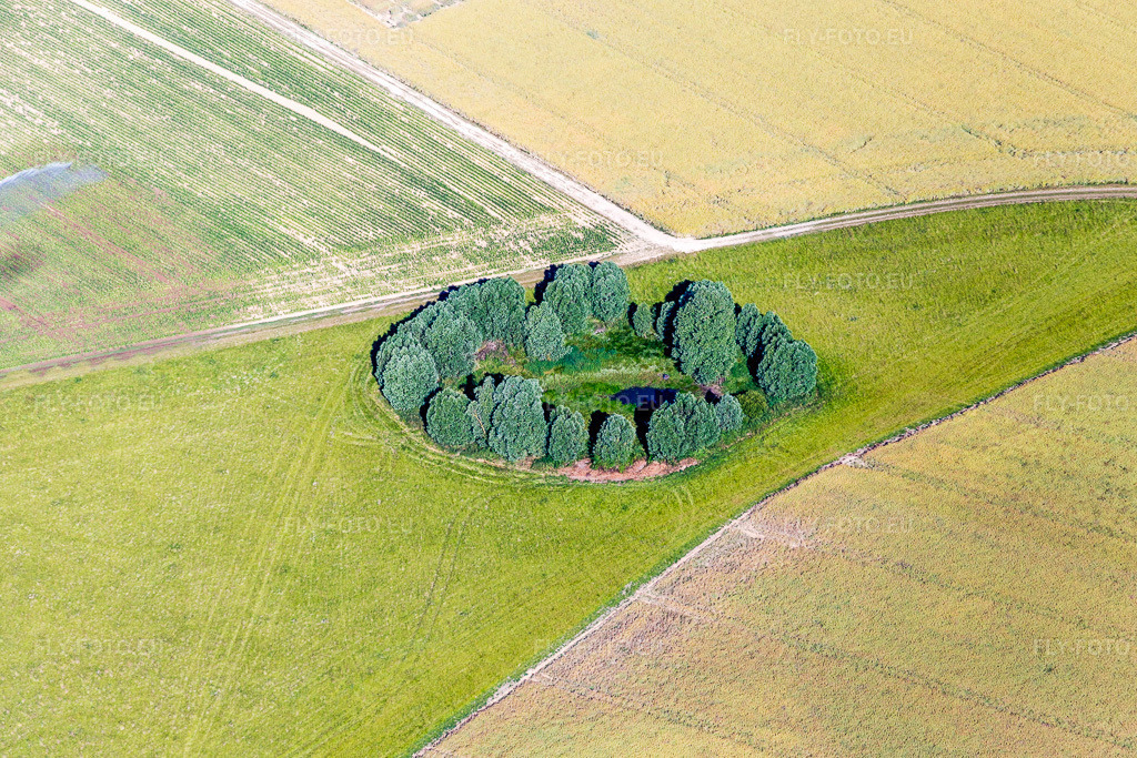 Vue aérienne: Arbres sur la rive d'un petit étang rond au milieu des champs de Rhodon à Selommes dans le département Loir et Cher, France. Photo: IMG_082236.jpg prise le 20/06/2015 par Werner Riehm/FLY-FOTO.eu – Résolution de l'original: 5176 x 3451 px