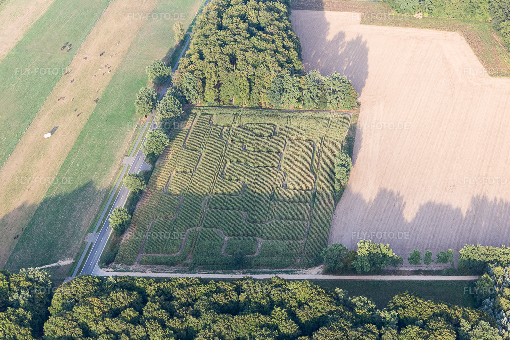 Luftbild: Irrgarten - Labyrinth auf einem Maisfeld in Amelinghausen im Bundesland Niedersachsen in Deutschland. Foto: IMG_110066.jpg vom 16.08.2018 durch Werner Riehm/FLY-FOTO.de
