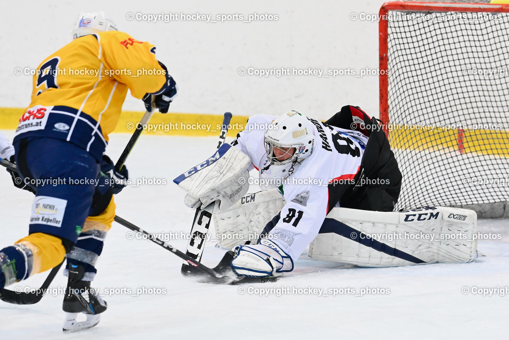 EC Feld am See vs. ELV Zauchen 15.1.2023 | #9 Frei-Jarz Christopher, #81 Harder Michael