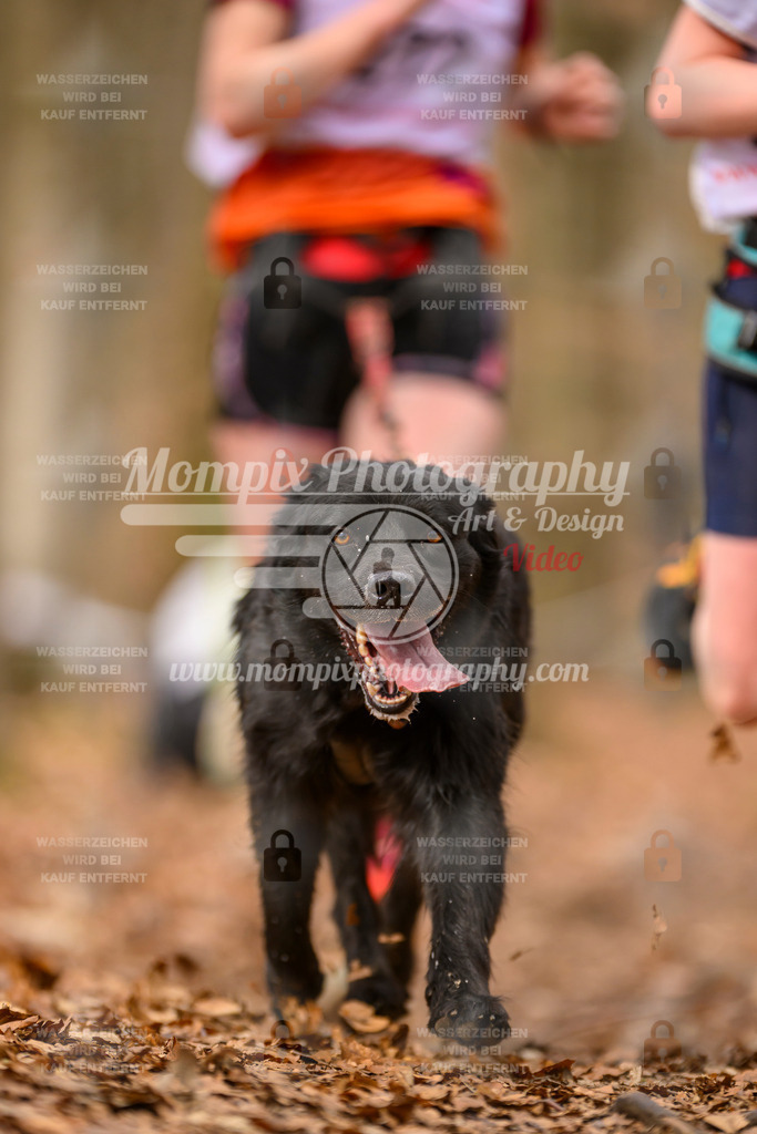 MompixPhotography_Habay2025_SA_CCC-78 | PayLife