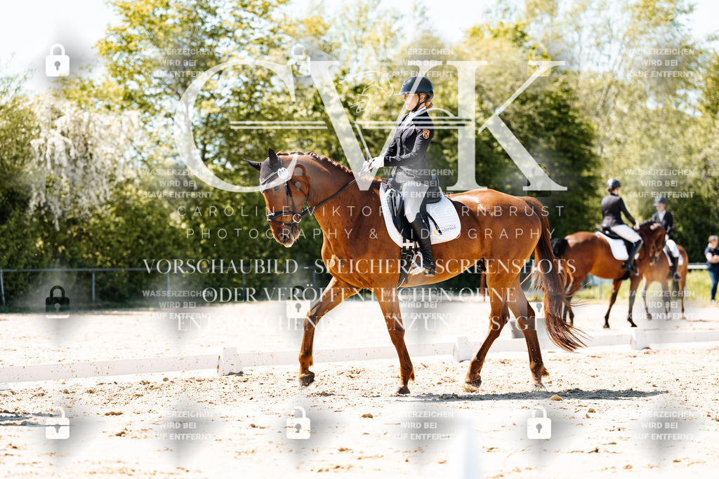 CK905752 | Turnierfotografie Pferdefotografie Trier Rheinland-Pfalz Pferdesport Reitsport Tierfotografie Sportfotografie Pferdevideo Pferdevideografie Equestrianvideography equestrianphotography  - Realisiert mit Pictrs.com