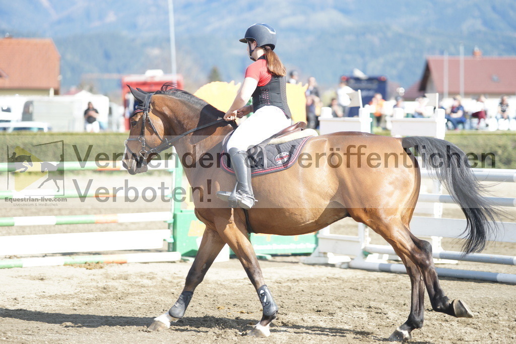 DSC03342 | equestrian-live-com