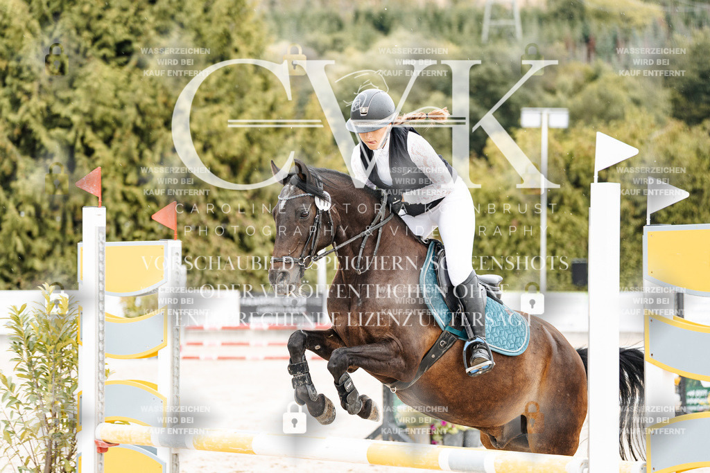 CK908781 | Turnierfotografie Pferdefotografie Trier Rheinland-Pfalz Pferdesport Reitsport Tierfotografie Sportfotografie Pferdevideo Pferdevideografie Equestrianvideography equestrianphotography  - Realisiert mit Pictrs.com