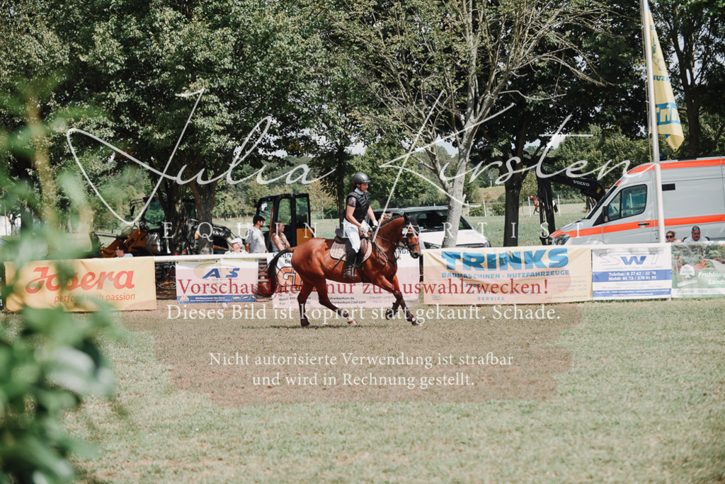DSC_5680 | Pferde- und Turnierfotografie in Westsachsen. Pferdeportraits, Auftragszeichnungen und intuitive Kunst.