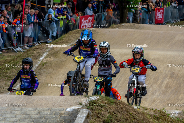 BayBMX2026-05729 | Fotogalerie von Thomas Dettweiler mit Eventbildern und lizenzfreien Fotos. Perfekt als Wandbild, für Büro, Website oder private Nutzung. - Realisiert mit Pictrs.com