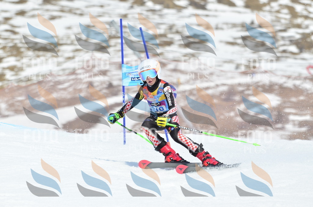 _ELE2314 | holidayphoto