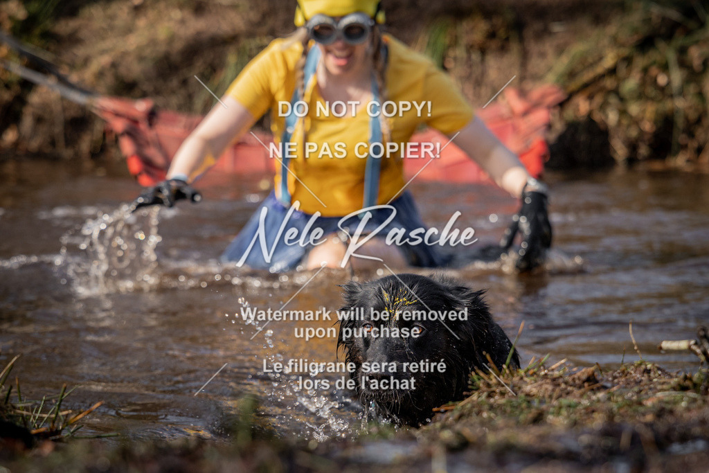 nelerasche_FS1330-1400_181 | nelerasche