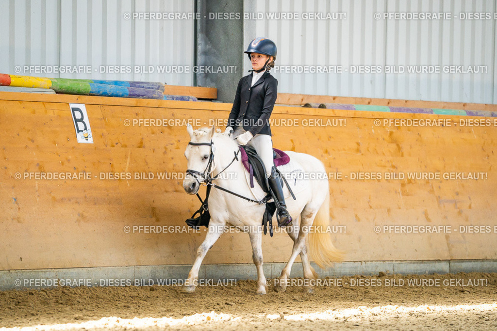 DSC03242 | Pferdegrafie