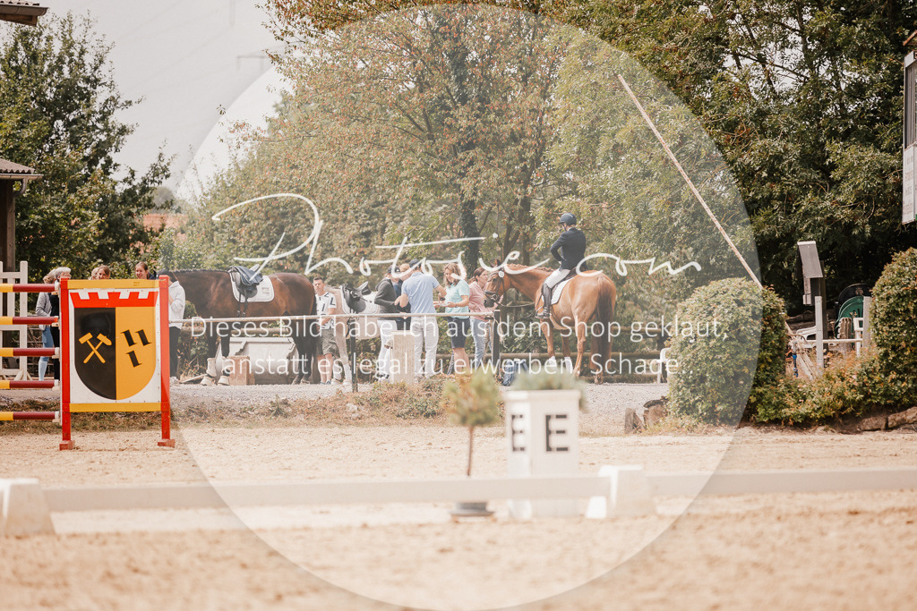 3I6A6306 | Stimmungsvolle Portraits und Reitsportfotografie im Ruhrgebiet und im Münsterland.

Pferdefotografie, Hundefotografie, Tierfotografie, Reportagen, Portraits von Tier und Mensch, Turnierfotografie in Bochum, Recklinghausen, Marl, Haltern am See, Dülmen.. - Realisiert mit Pictrs.com
