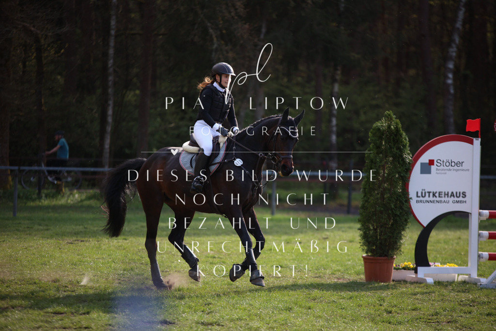 IMGT9396 | pl-fotografie