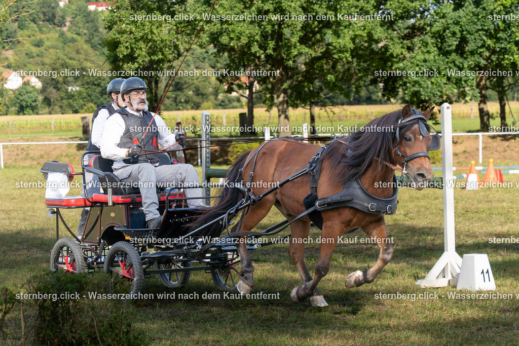 2026-08-29_15-16-55_sternberg.click_WBO-Diera | sternberg.click - Realisiert mit Pictrs.com