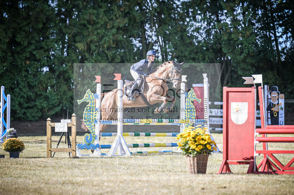 DOS_0277 | Entdecke hochwertige Reitturnierfotos von Foto Oger. Professionell, emotional und authentisch – jetzt Lieblingsmomente im Shop bestellen.Deutschlandweite Turnierfotografie. - Realisiert mit Pictrs.com