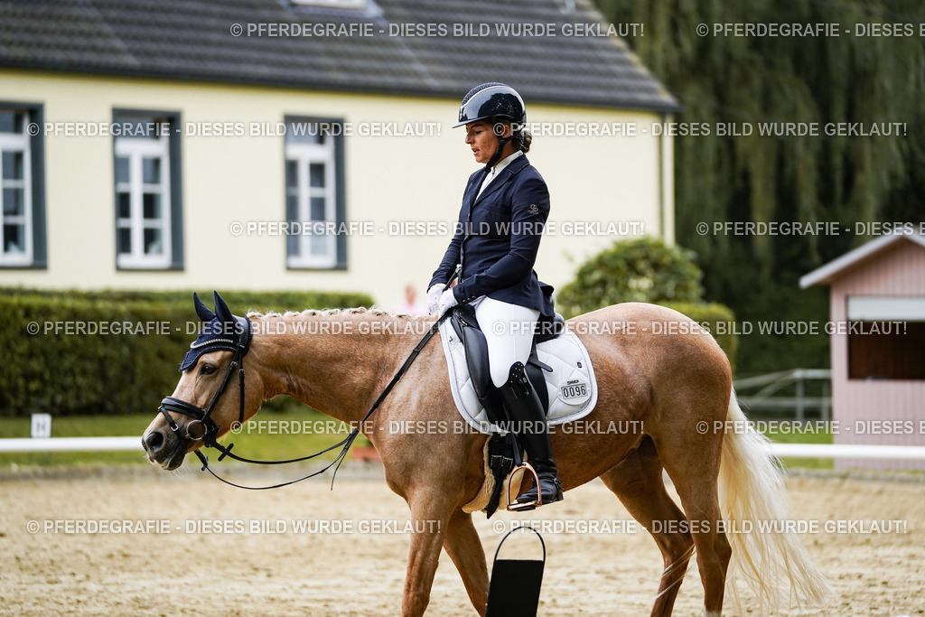 DSC09140 | Pferdegrafie