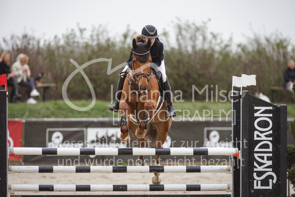 240330_Fruehlingsfest_Stil-A2-1-657 | Deine schönsten Turniermomente als professionelle Fotos! Entdecke hochwertige Pferdesport-Fotografie im Online-Shop. Jetzt Fotos finden & bestellen!