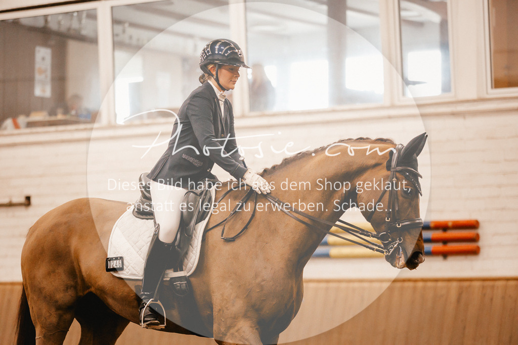 3I6A2560 | Stimmungsvolle Portraits und Reitsportfotografie im Ruhrgebiet und im Münsterland.

Pferdefotografie, Hundefotografie, Tierfotografie, Reportagen, Portraits von Tier und Mensch, Turnierfotografie in Bochum, Recklinghausen, Marl, Haltern am See, Dülmen.. - Realisiert mit Pictrs.com
