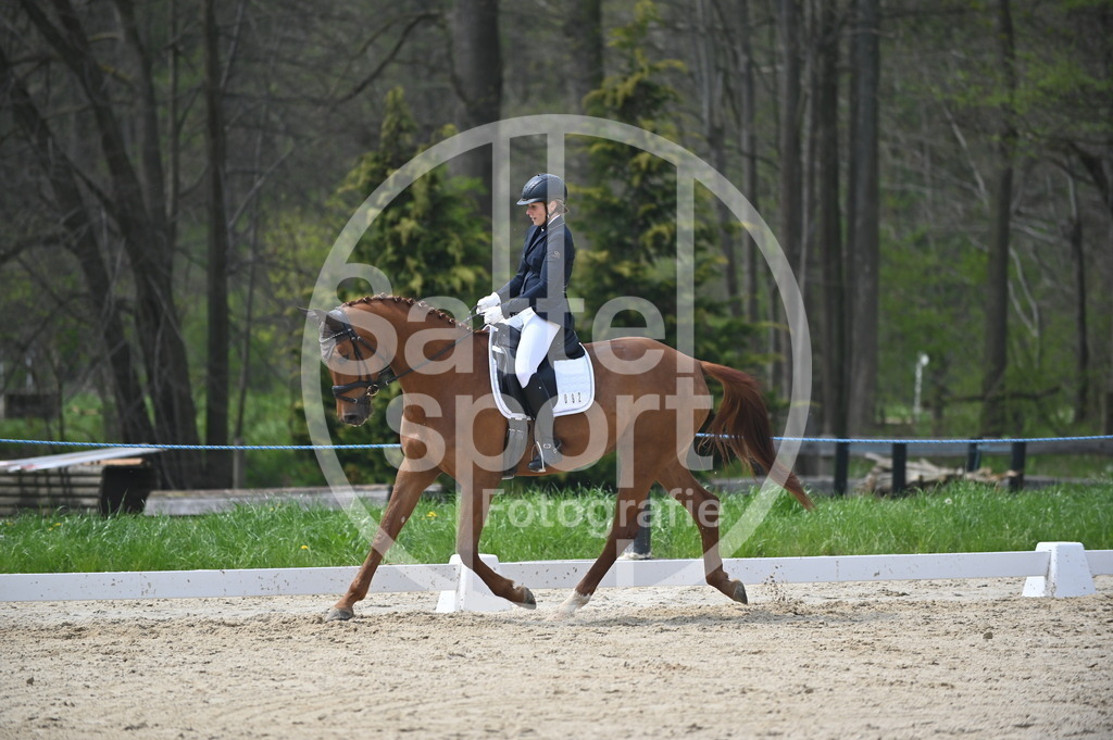 DSC_2858 | sattelsport - Realisiert mit Pictrs.com